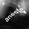 aneeté (old you)