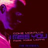 I Miss You - The Remixes