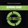 Burning Down (Peverell Remix)