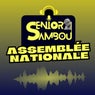 Assemblée Nationale