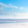 The Calm