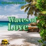 Waves of Love (DJ Techniq's Dub Mix)