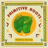 Primitive Roots