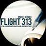 Flight 313