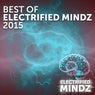 Best Of Electrified Mindz 2015