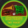 My Voice