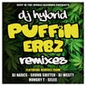 Puffin Erbz Remixes