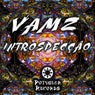 Introspeccao