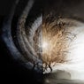 Winterlight Spirit EP