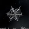 Bora Bora Ibiza Winter World Tour CD 2 - Mixed By Toby Holguin