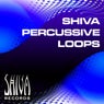 Shiva Percussive Loops Vol 3