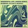 Wonderful Life (JOSEPH (CH) Remix)