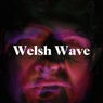 Welsh Wave (Original Mix)