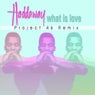 What Is Love (Project 46 Remix)