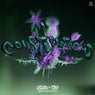 Constellations - Hoax (BE) Extended Remix