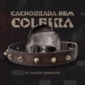 Cachorro Sem Coleira