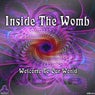Inside the Womb