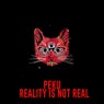 Reality Is Not Real