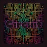 Circuit