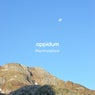 Murmuration