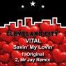 Savin' My Lovin'