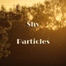 Particles