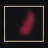Dissociate