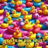 We Still Lack Trust in You