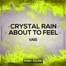 Crystal Rain / About To Feel