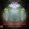 Through the Lens of the Forest (Equanimous Remix)