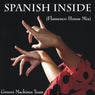 Spanish Inside (Flamenco House Mix)