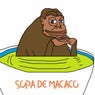Sopa De Macaco