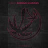 Burning Shadows