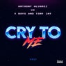 Cry to Me