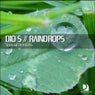 Raindrops (Special Remixes)