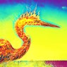Phoenix Blaze
