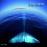Magic Sound Ambient