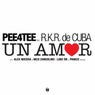 Un Amor (feat. R.k.r. De Cuba)