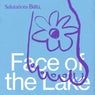 Face of the Lake