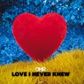 Love I Never Knew