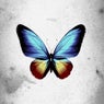 Metamorphosis