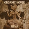 Organic House - Shiva