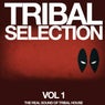 Tribal Selection, Vol. 1 (The Real Sound of Tribal House)