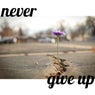 Never Give Up