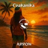 Arrow