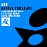 Before You Leave (The Remixes)