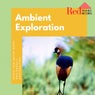 Ambient Exploration (Music For Quick Naps And Energy Restoration)