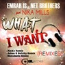 What I Want (Remixes)