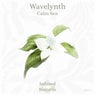 Calm Sea EP
