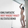 Why? Where? What? (OG Status Remix)